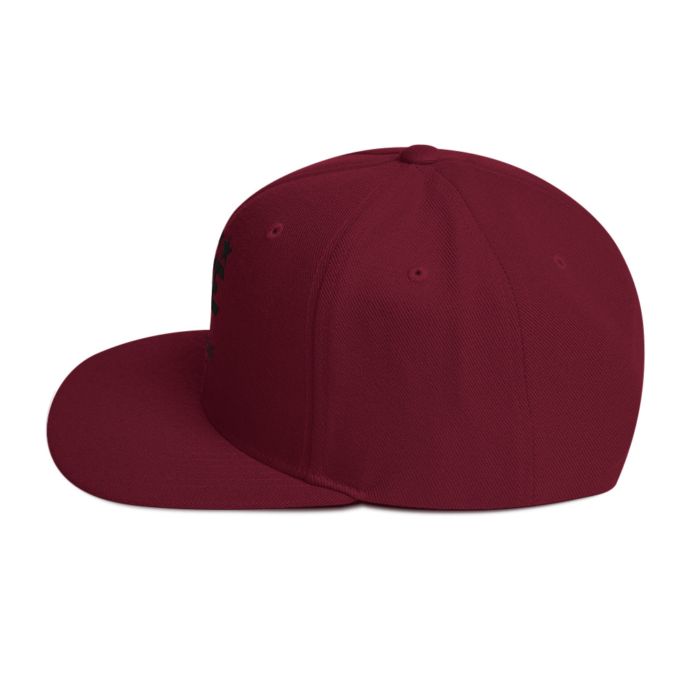 Snapback Hat - Image 3