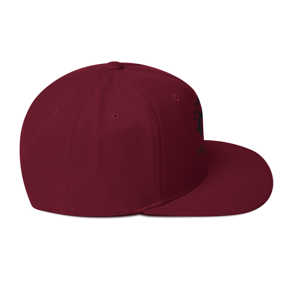Snapback Hat - Image 4