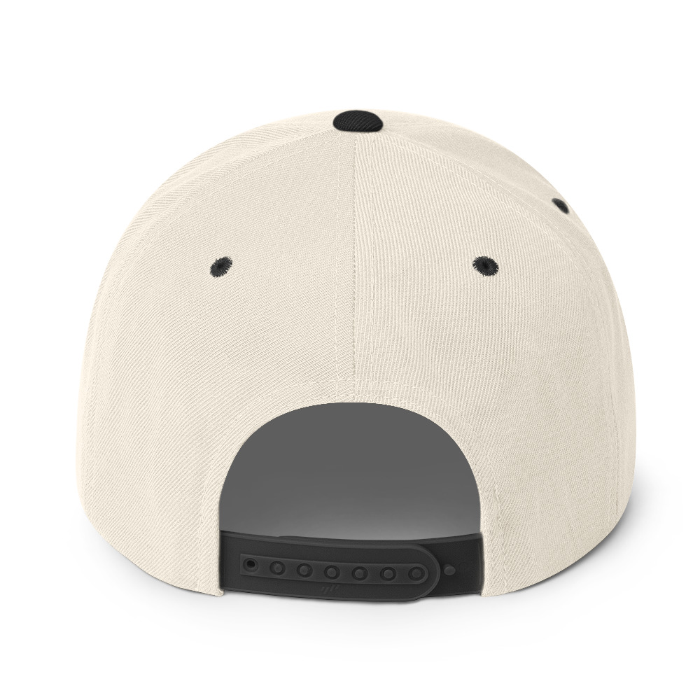 Snapback Hat - Image 50