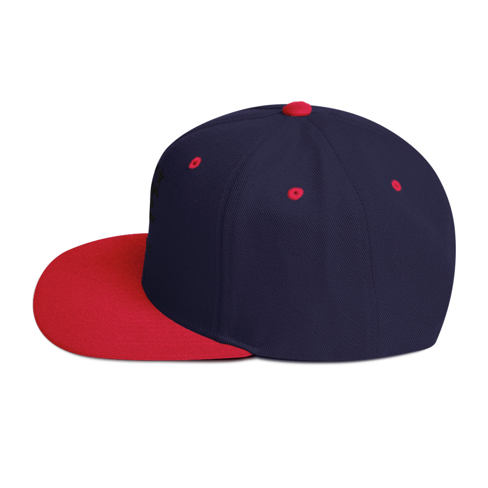 Snapback Hat - Image 11