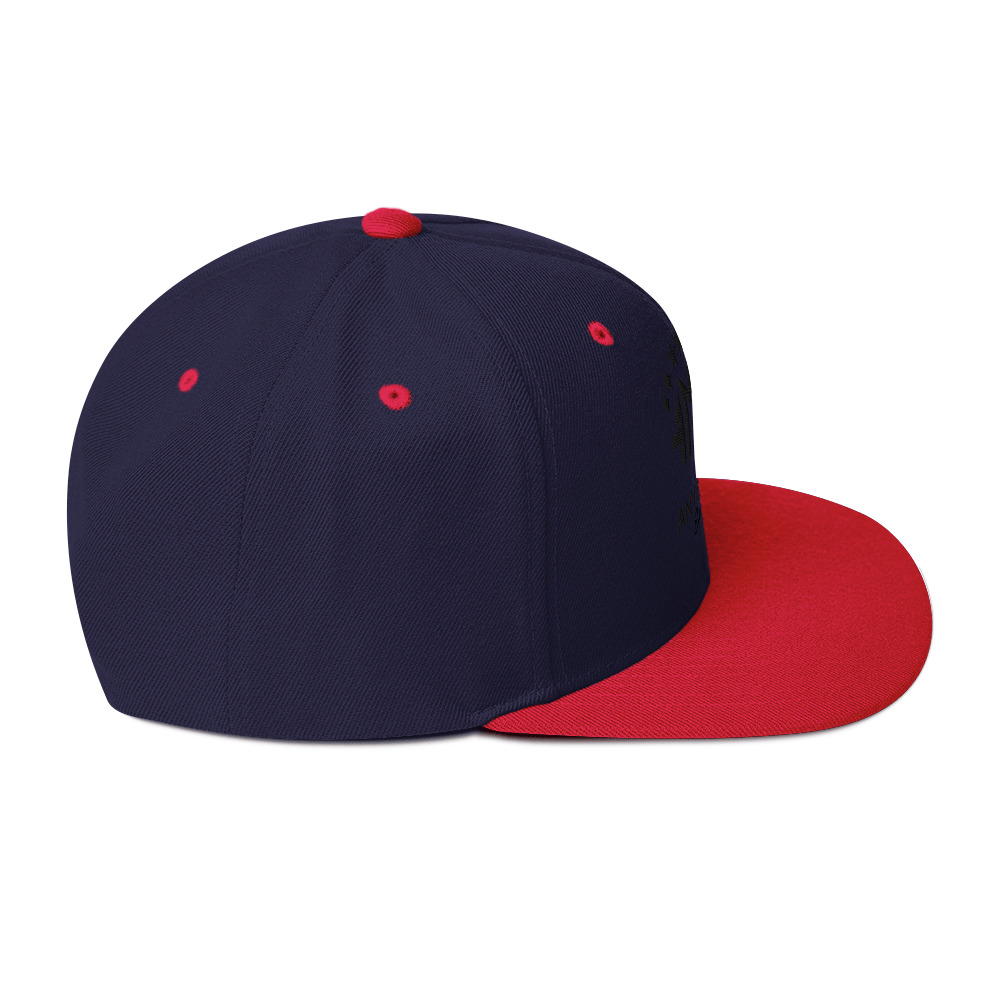 Snapback Hat - Image 12