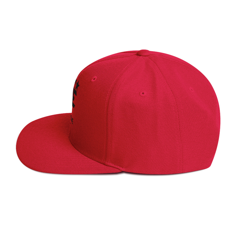 Snapback Hat - Image 19