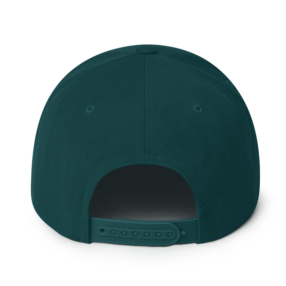Snapback Hat - Image 14