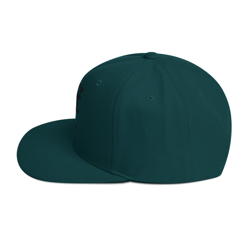 Snapback Hat - Image 15