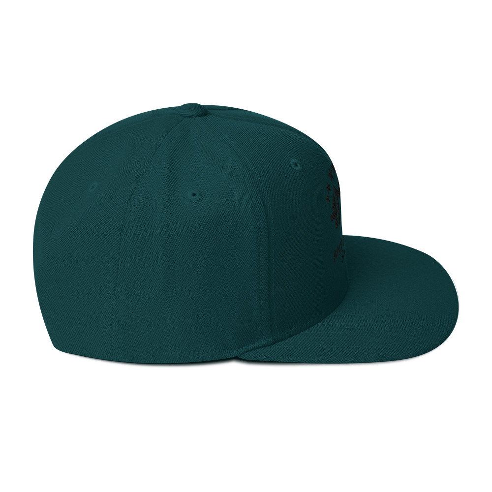Snapback Hat - Image 16